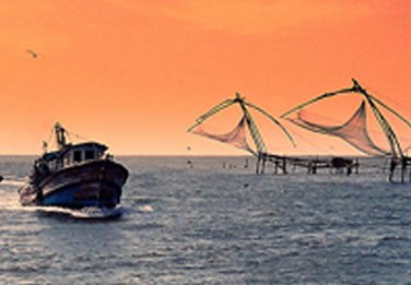 cochin taxi, kochi taxi