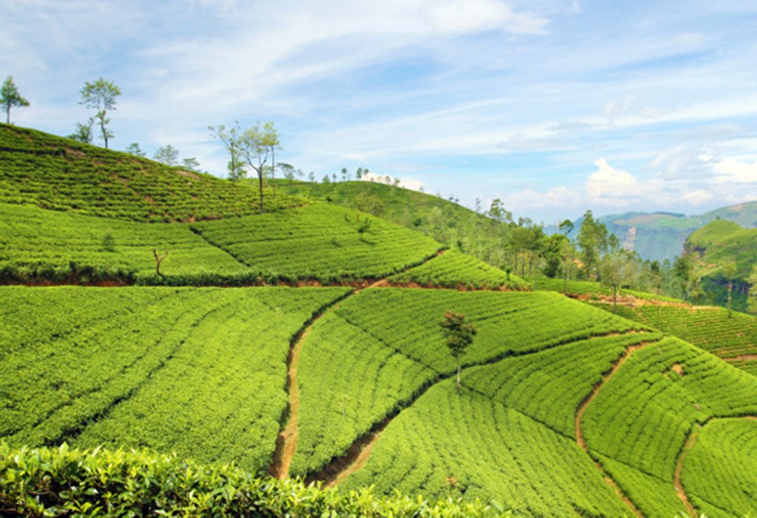 munnar cabs