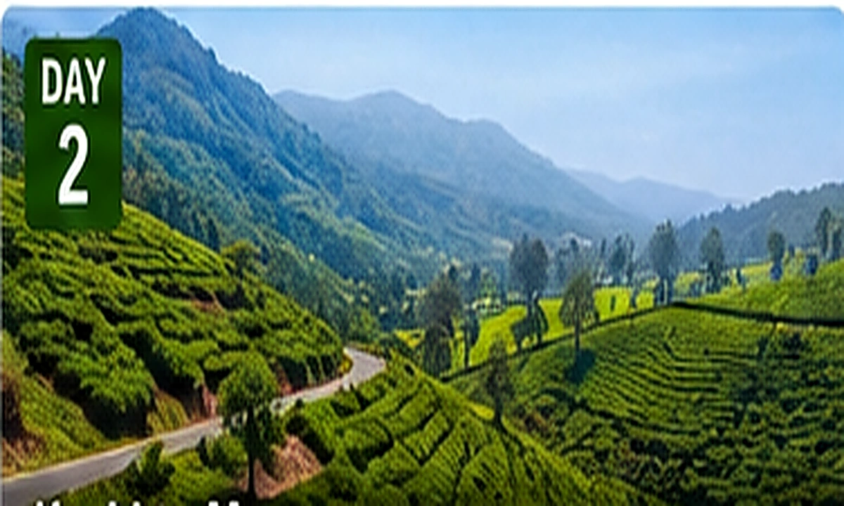 Cochin to Munnar sightseeing route, attractions and activities