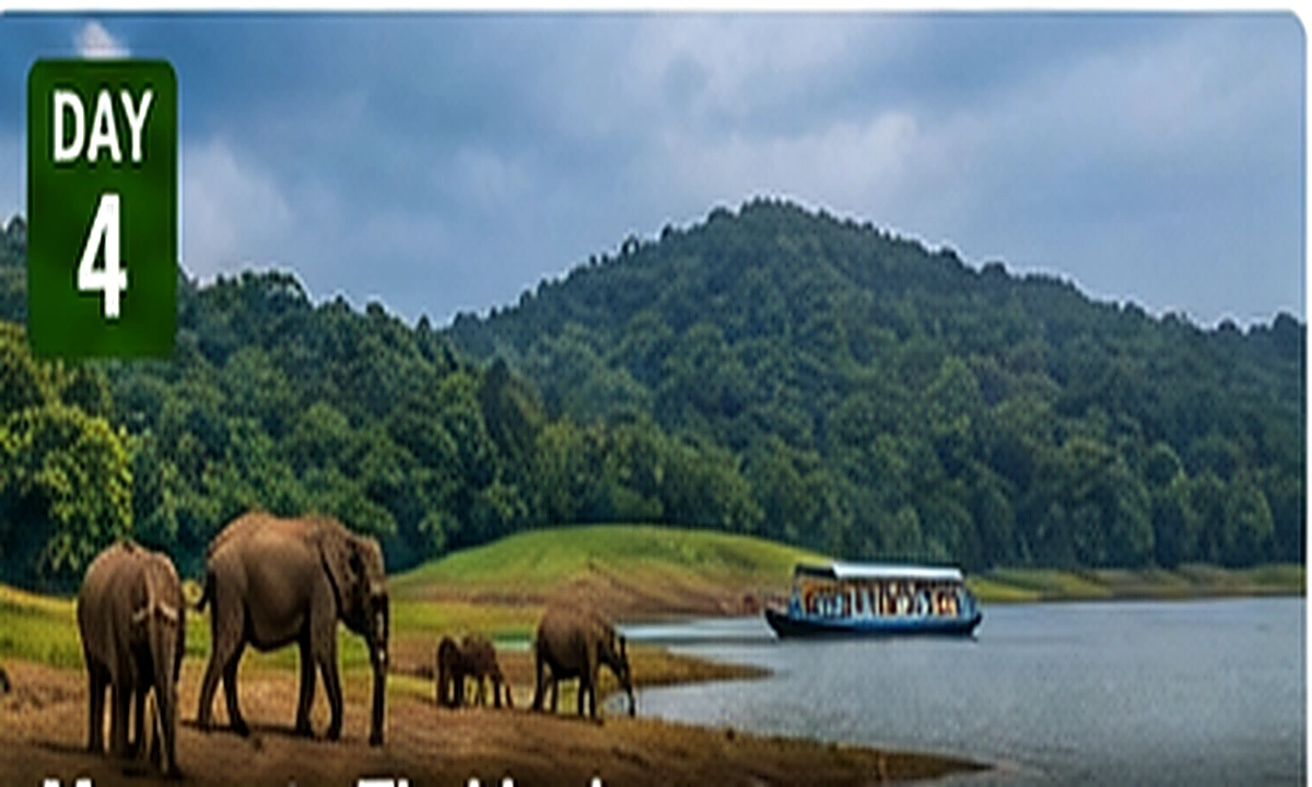 Munnar to Thekkady sightseeing route, attractions and activities