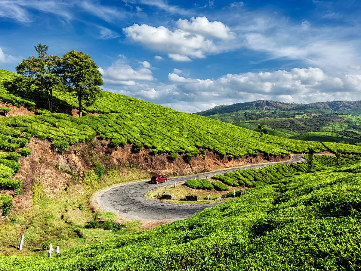 Kochi to munnar taxi